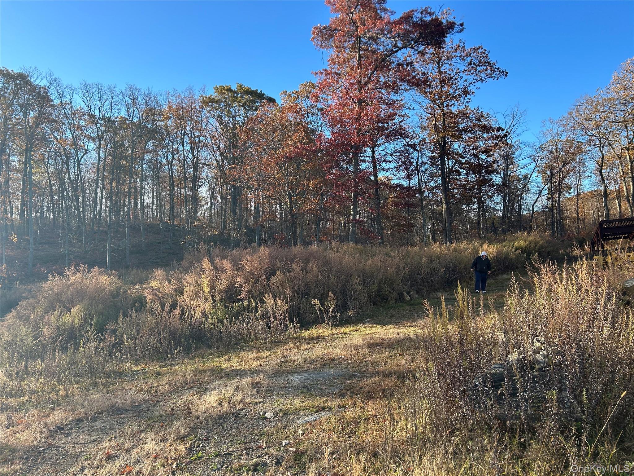 545 Grape Hollow Road – For Sale photo 24