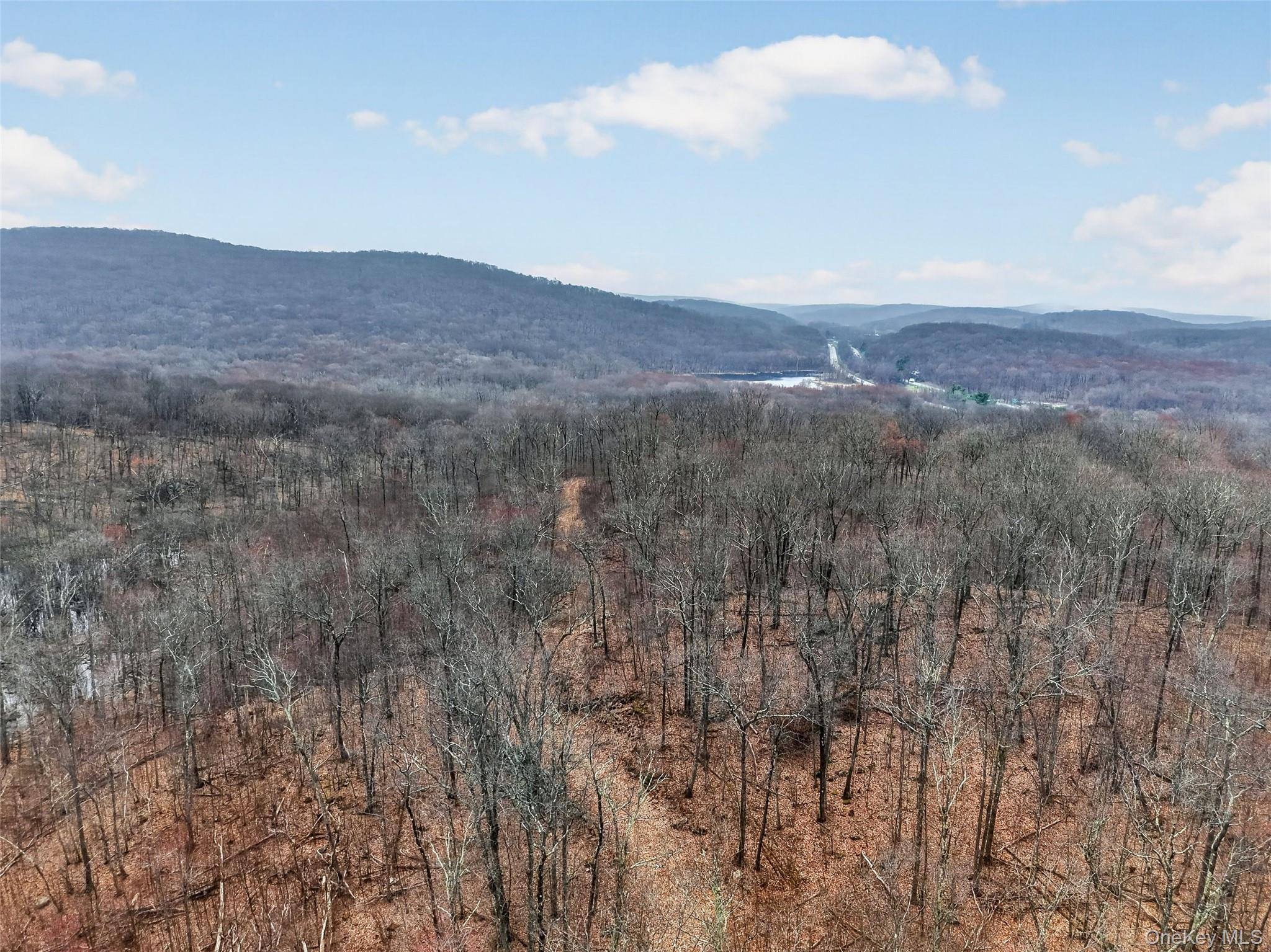 545 Grape Hollow Road – For Sale photo 20