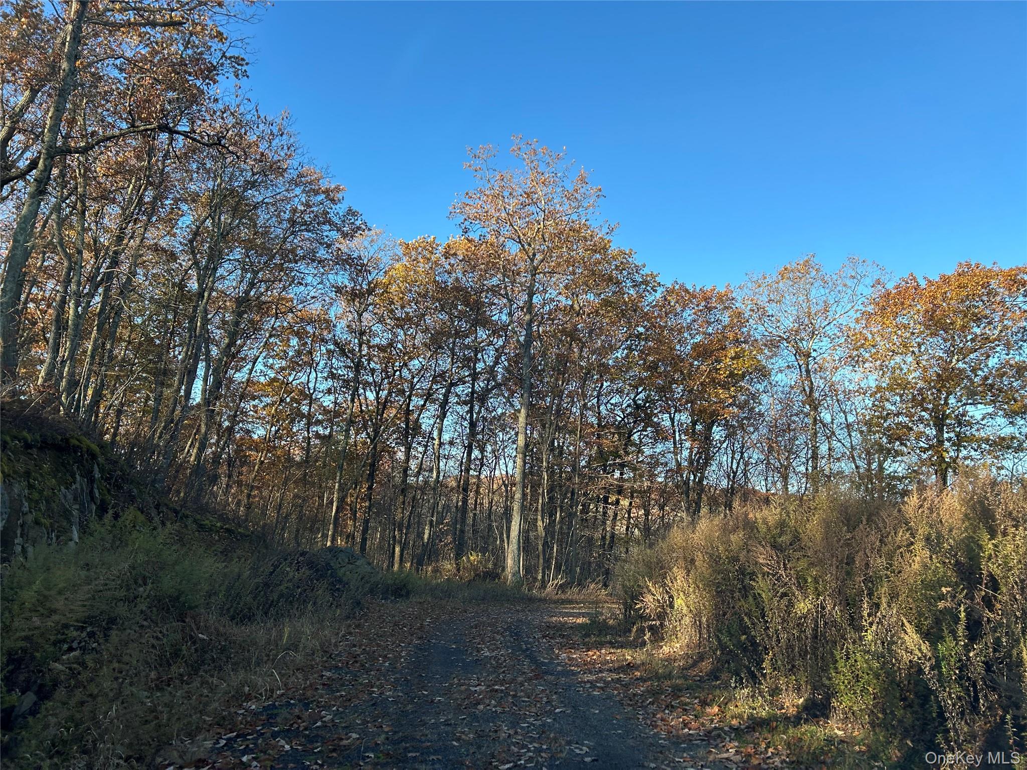 545 Grape Hollow Road – For Sale photo 27