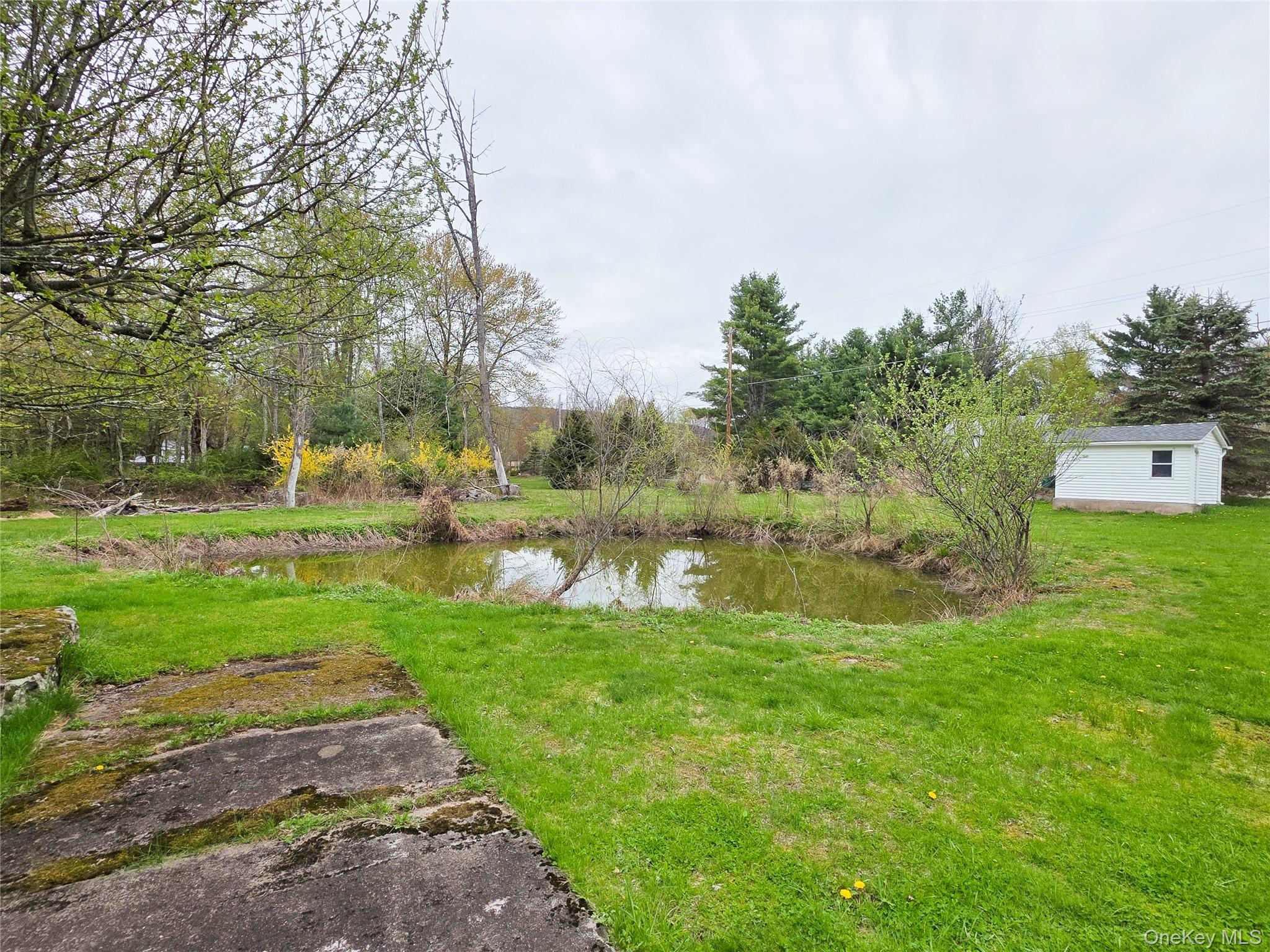 50 Low Road – For Sale photo 8