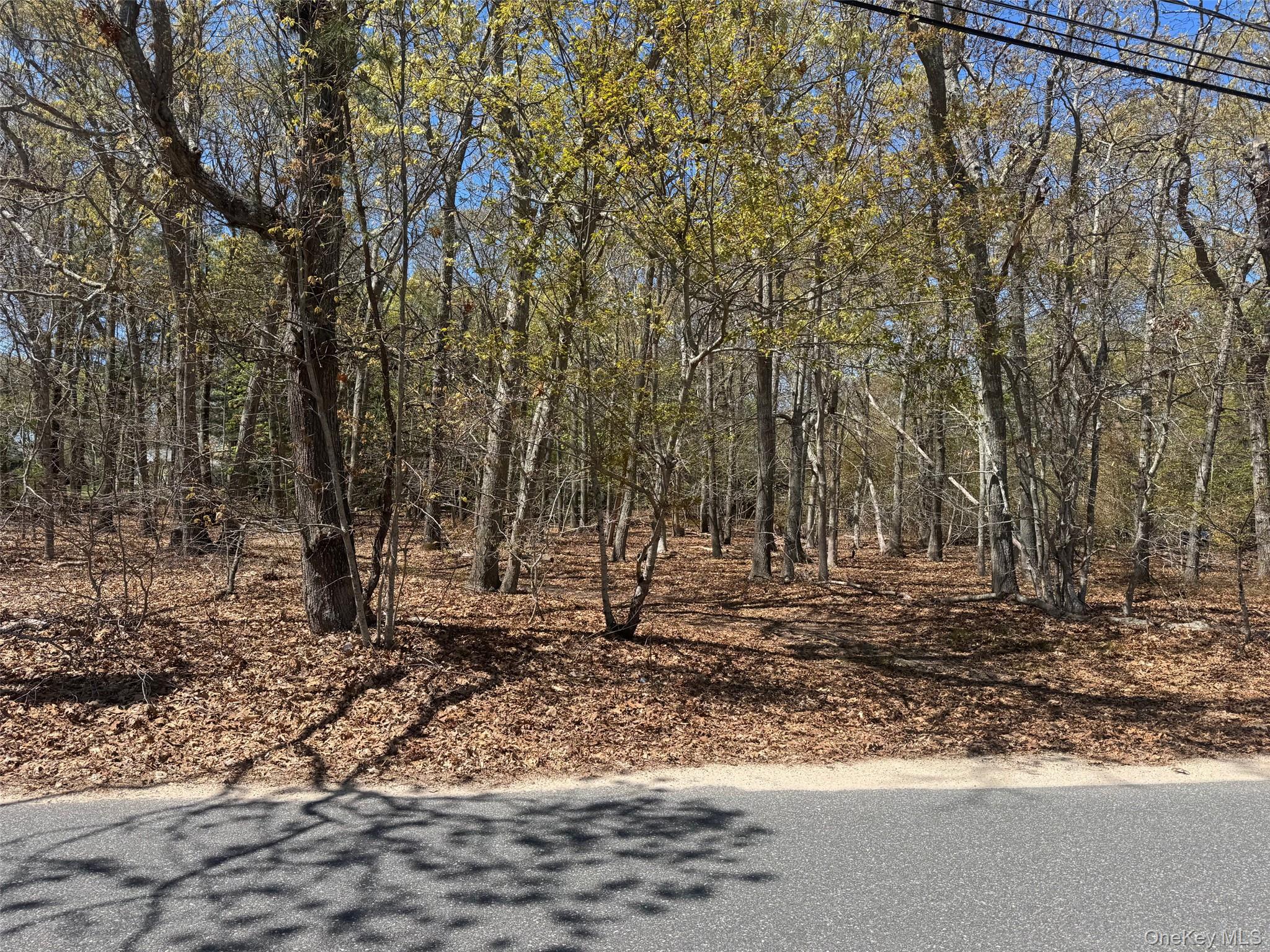 725 Youngs Avenue – For Sale
