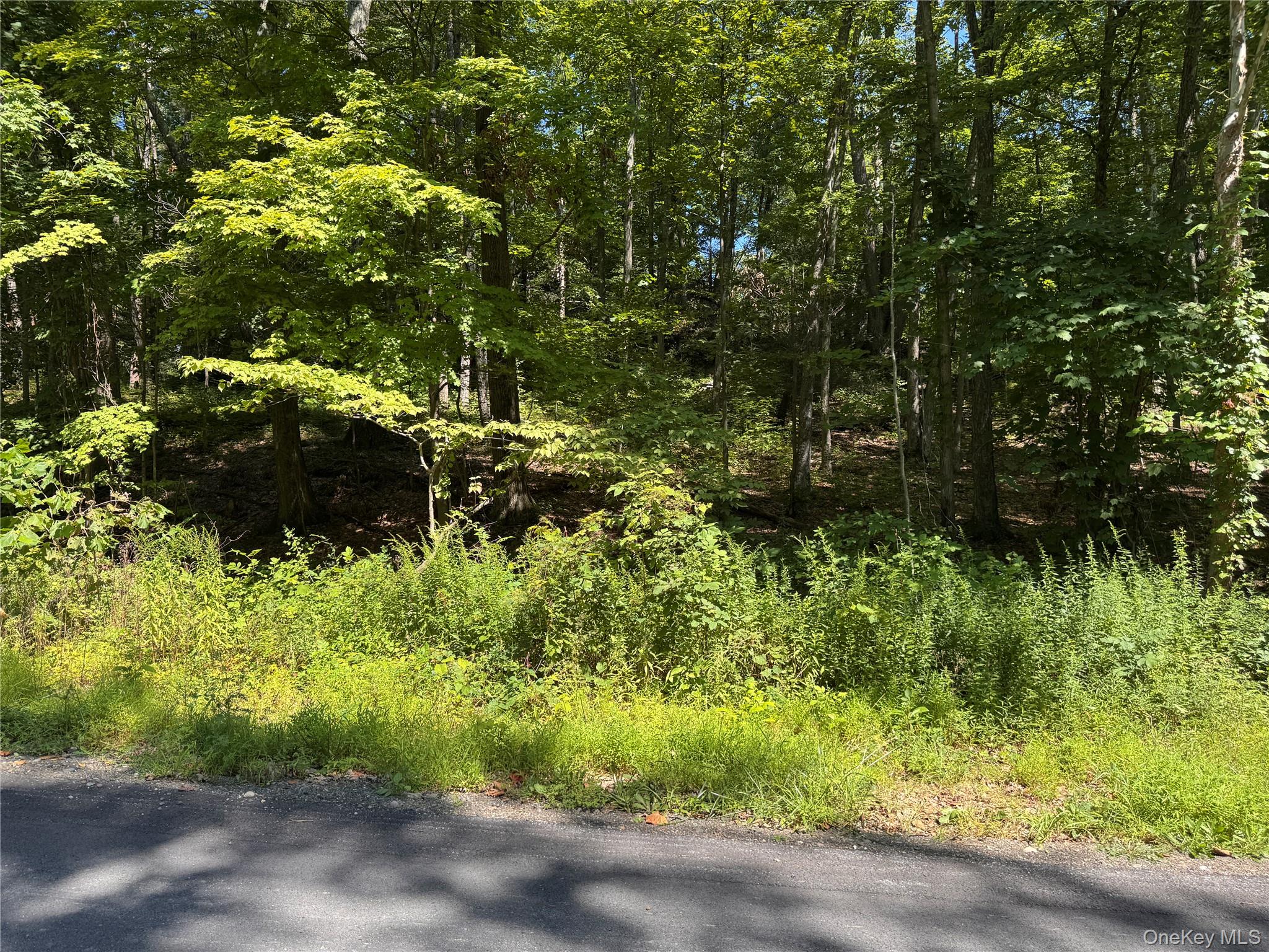 17 Vanessa Lane – For Sale