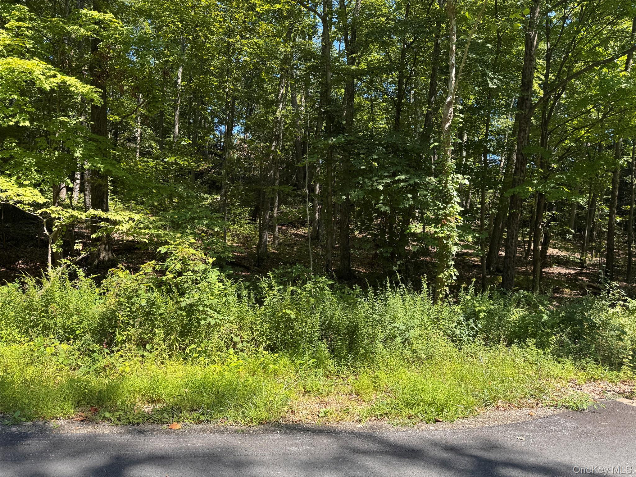 17 Vanessa Lane – For Sale photo 2