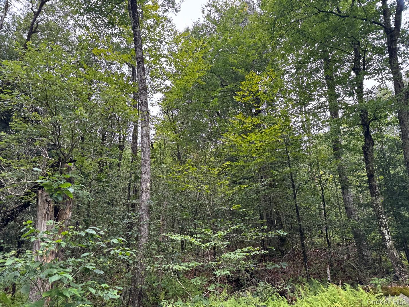 00 Starlight Road – For Sale photo 20