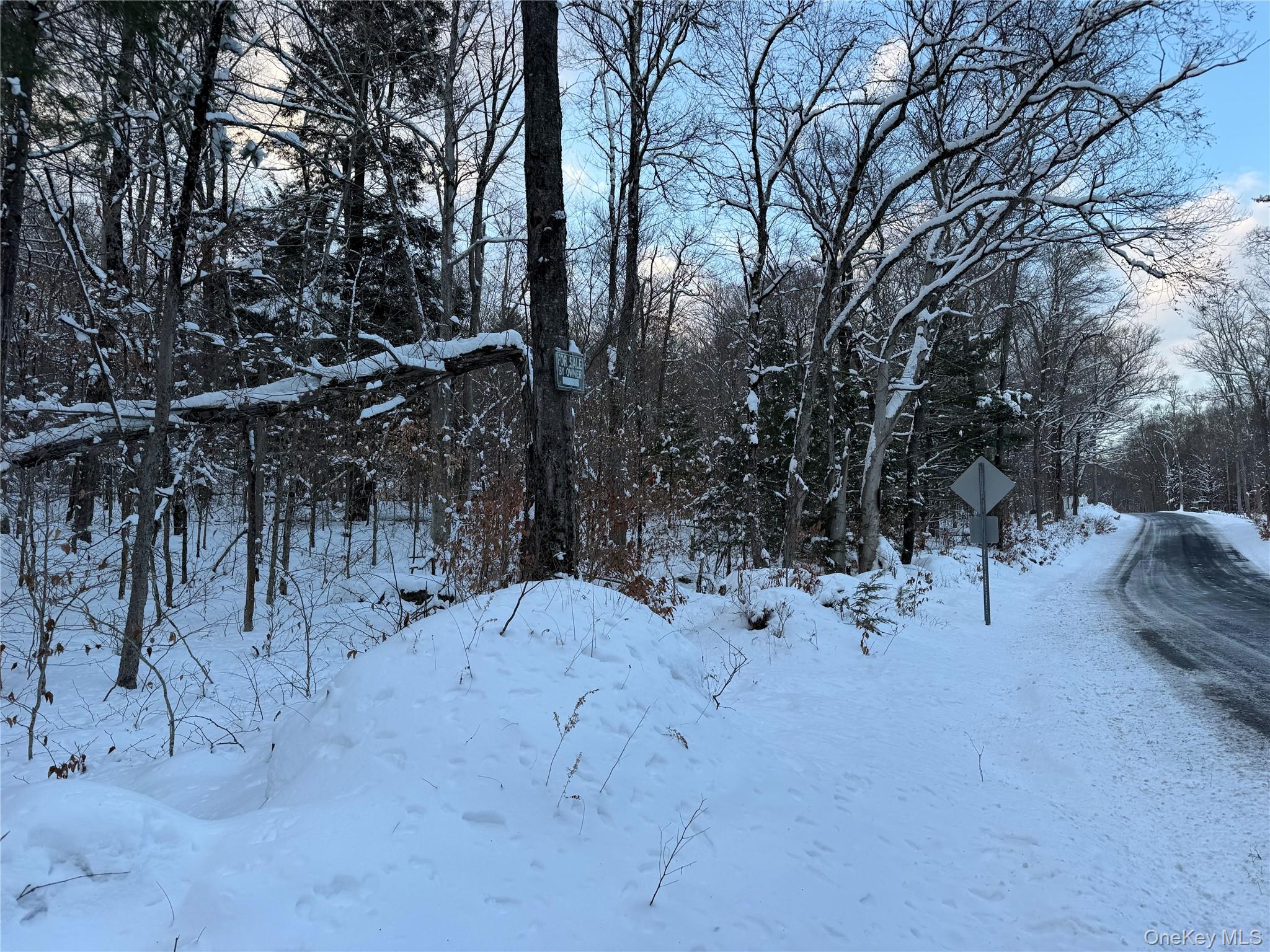 00 Starlight Road – For Sale photo 6