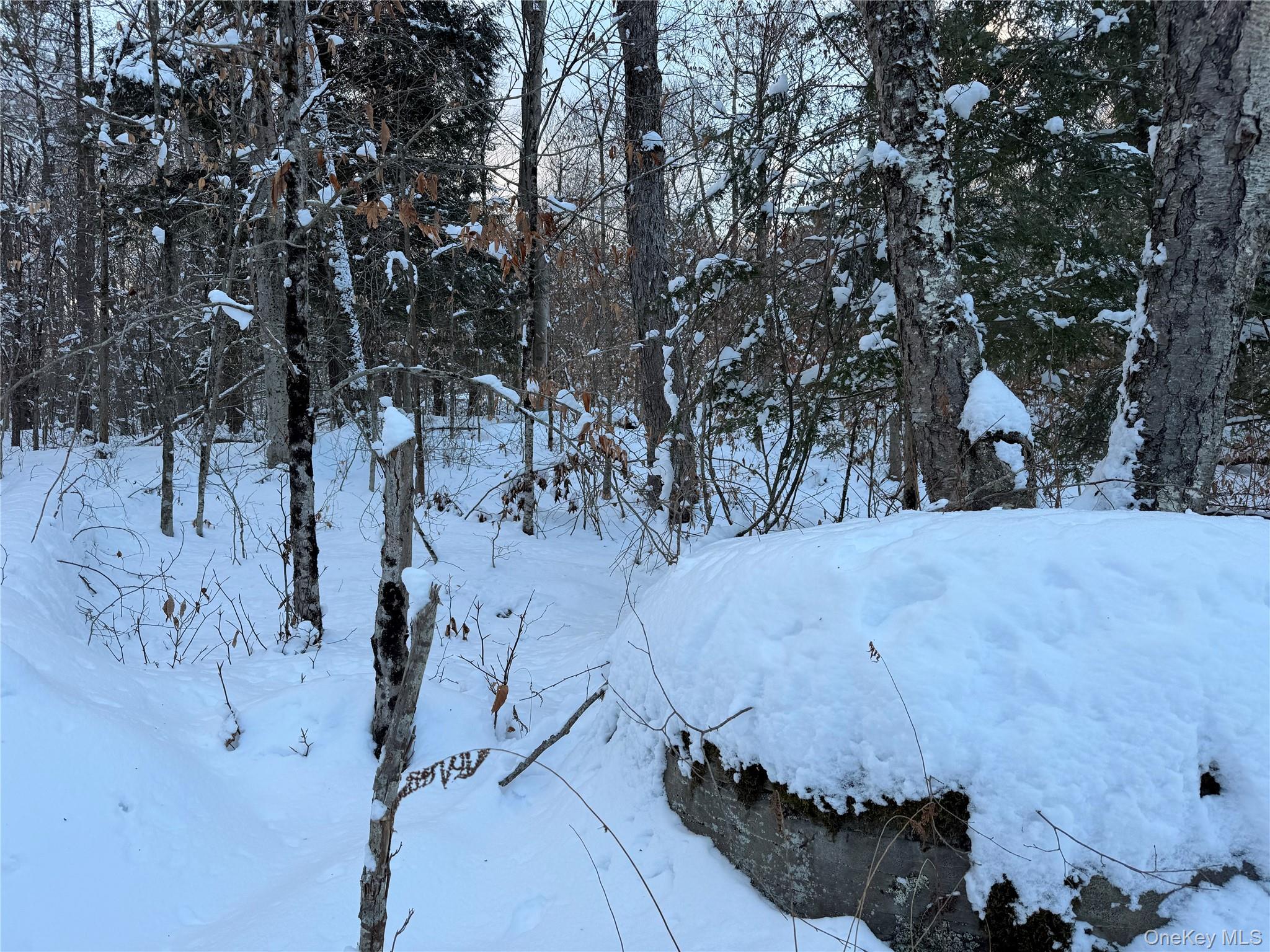 00 Starlight Road – For Sale photo 25