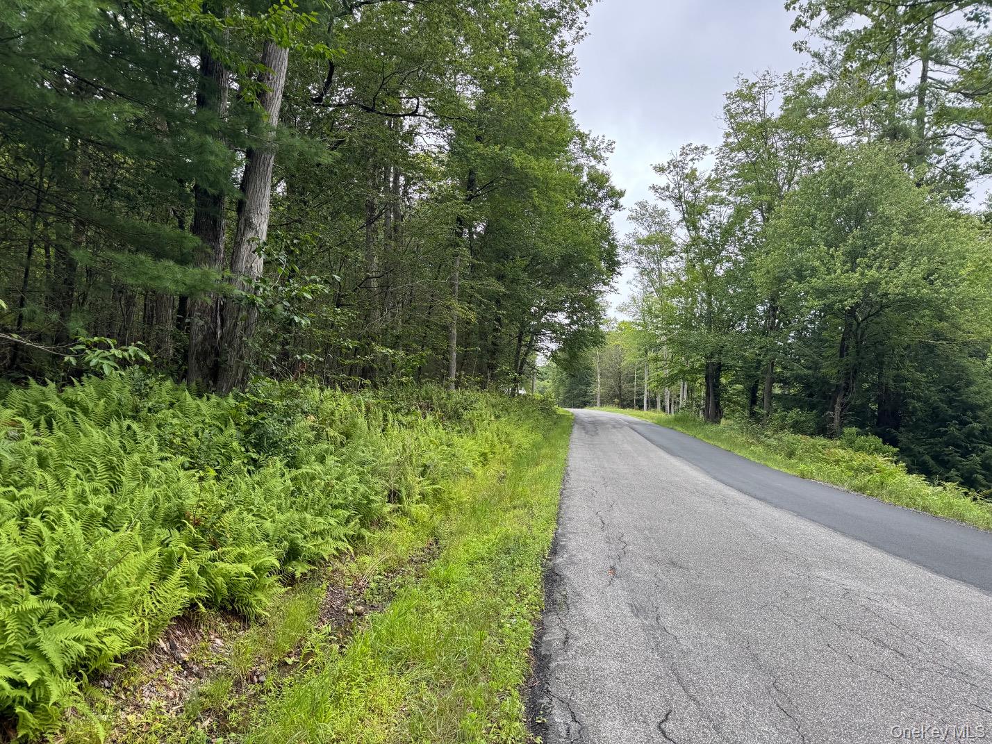 00 Starlight Road – For Sale photo 3