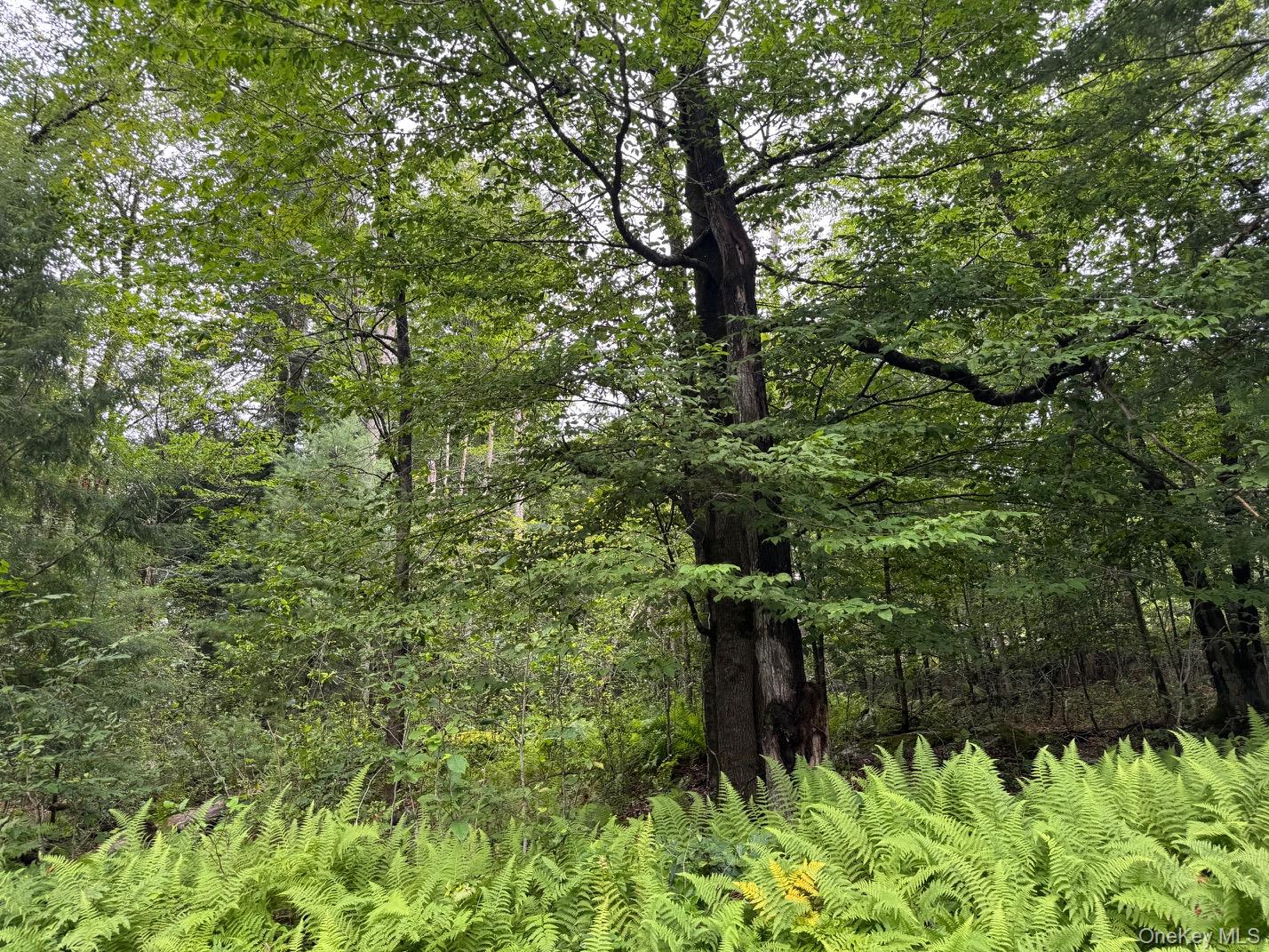 00 Starlight Road – For Sale photo 23