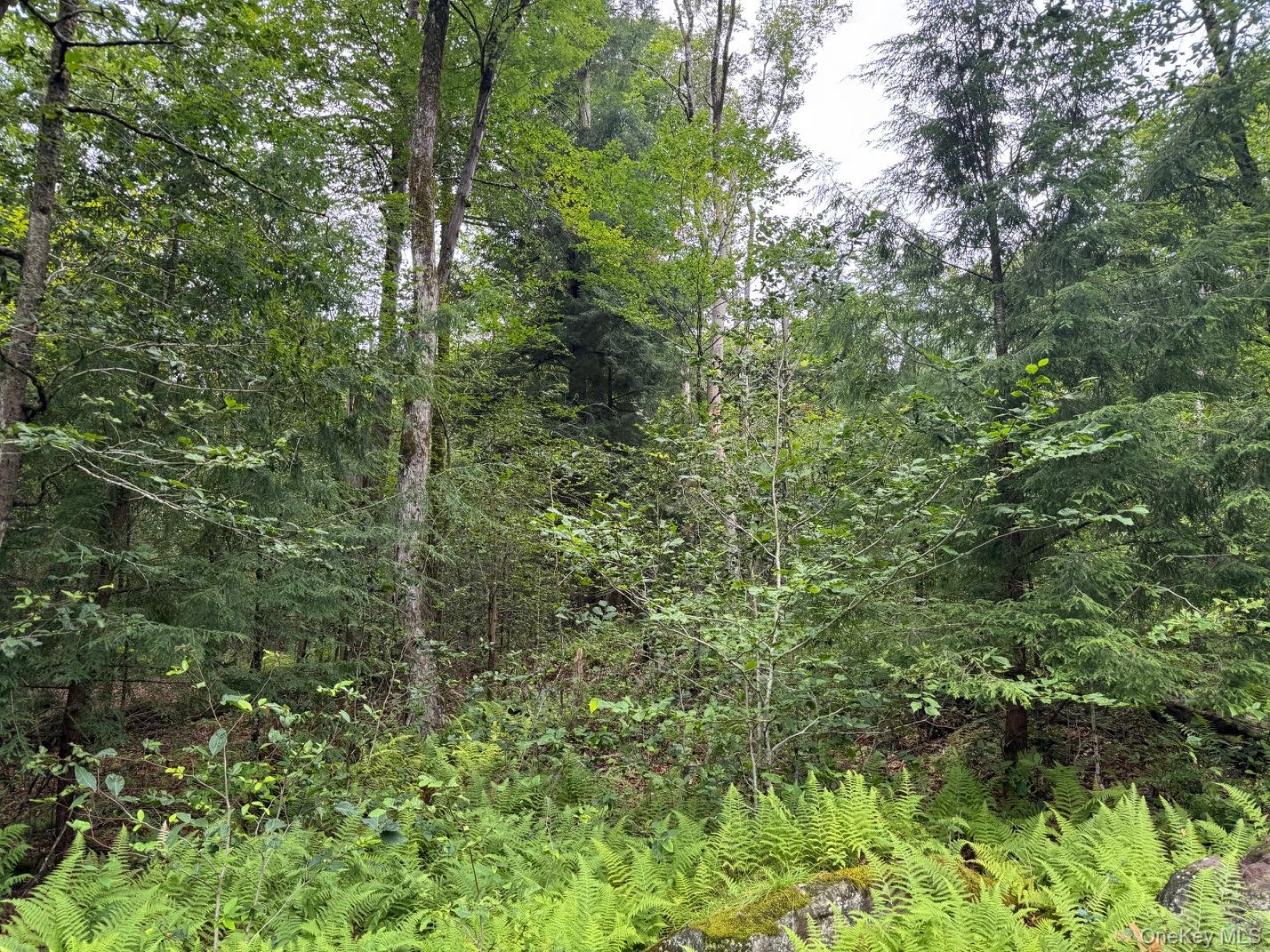 00 Starlight Road – For Sale photo 4