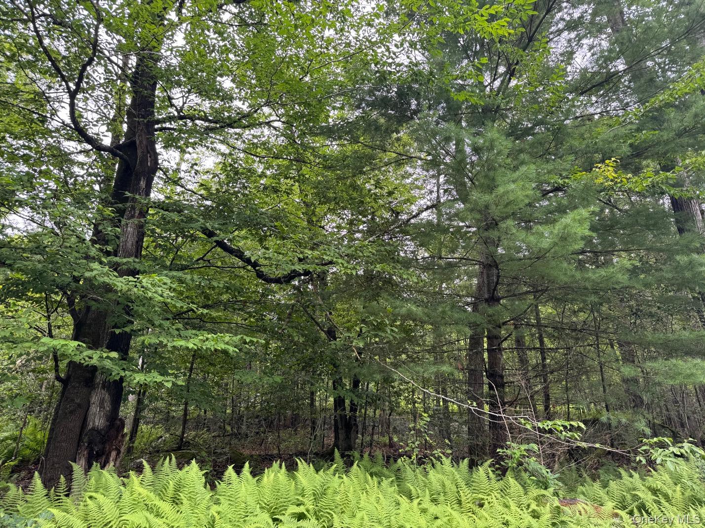 00 Starlight Road – For Sale photo 11