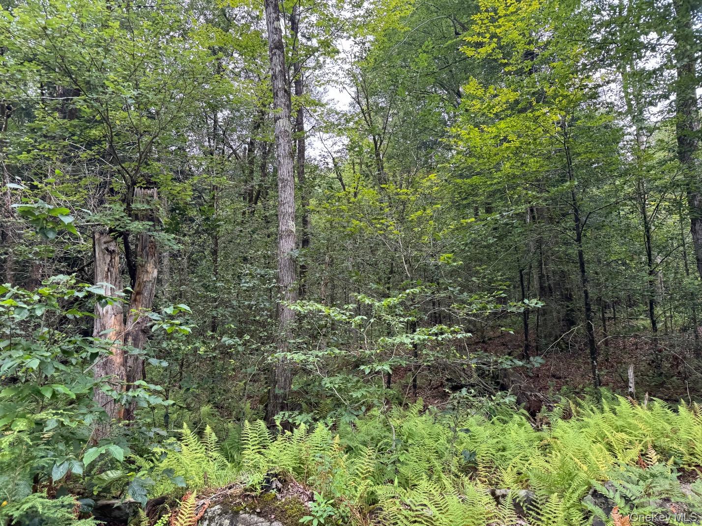 00 Starlight Road – For Sale photo 8