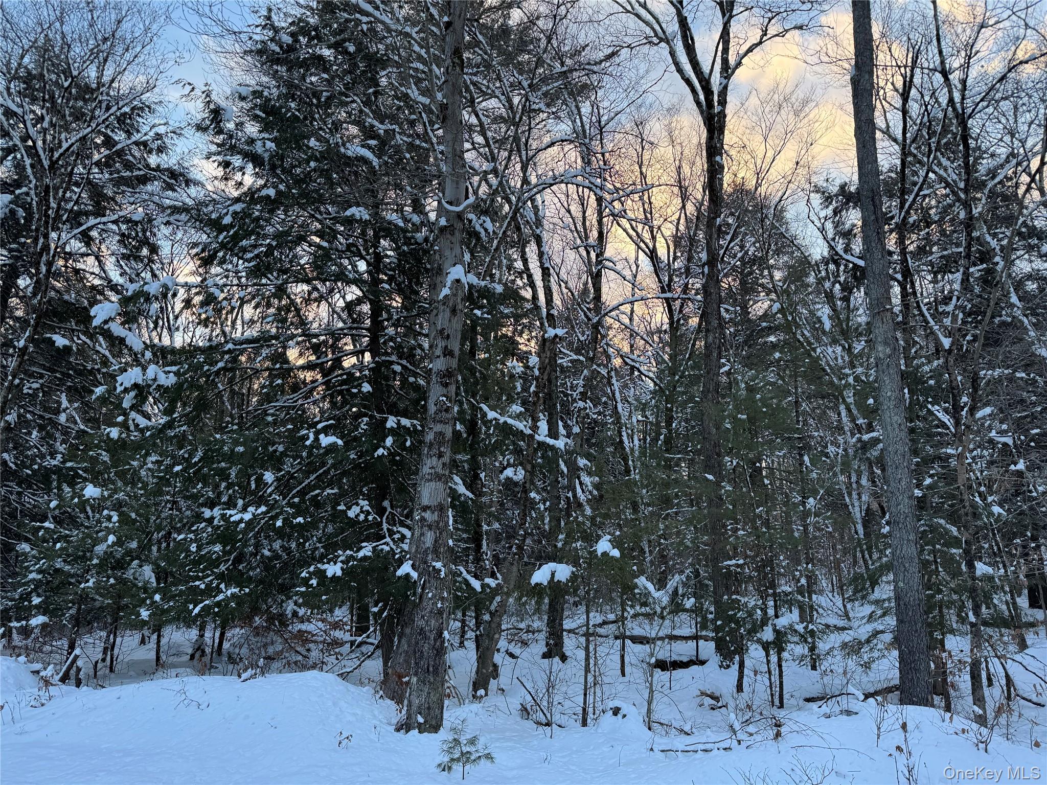 00 Starlight Road – For Sale photo 9