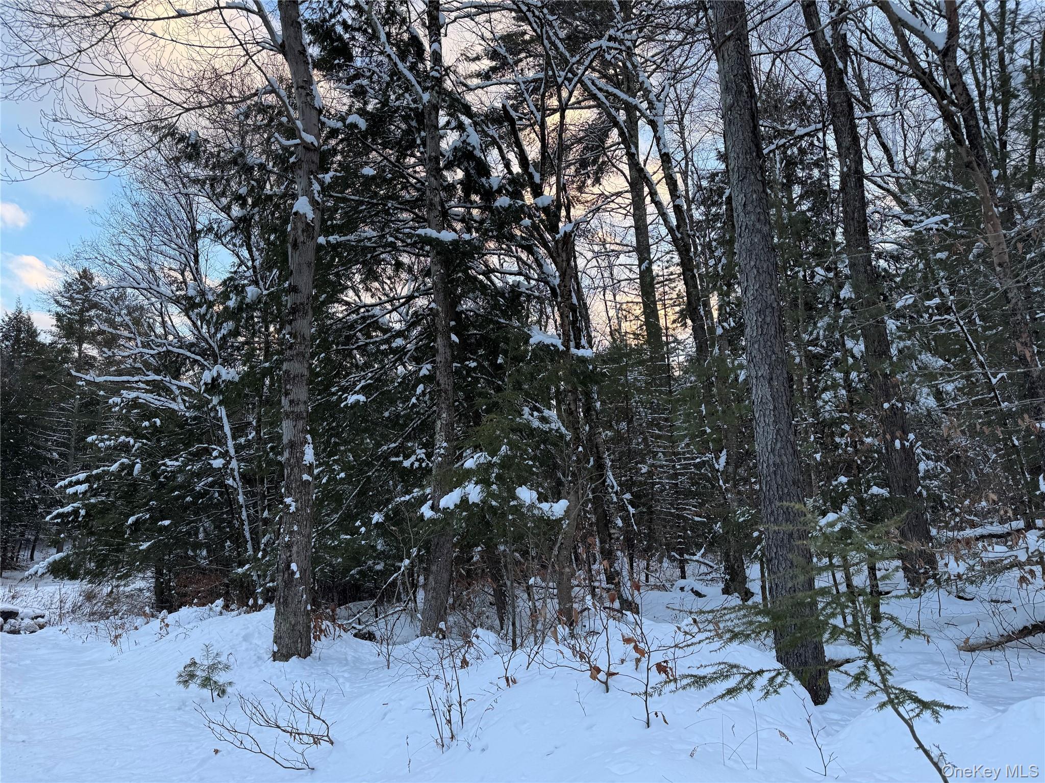 00 Starlight Road – For Sale photo 5