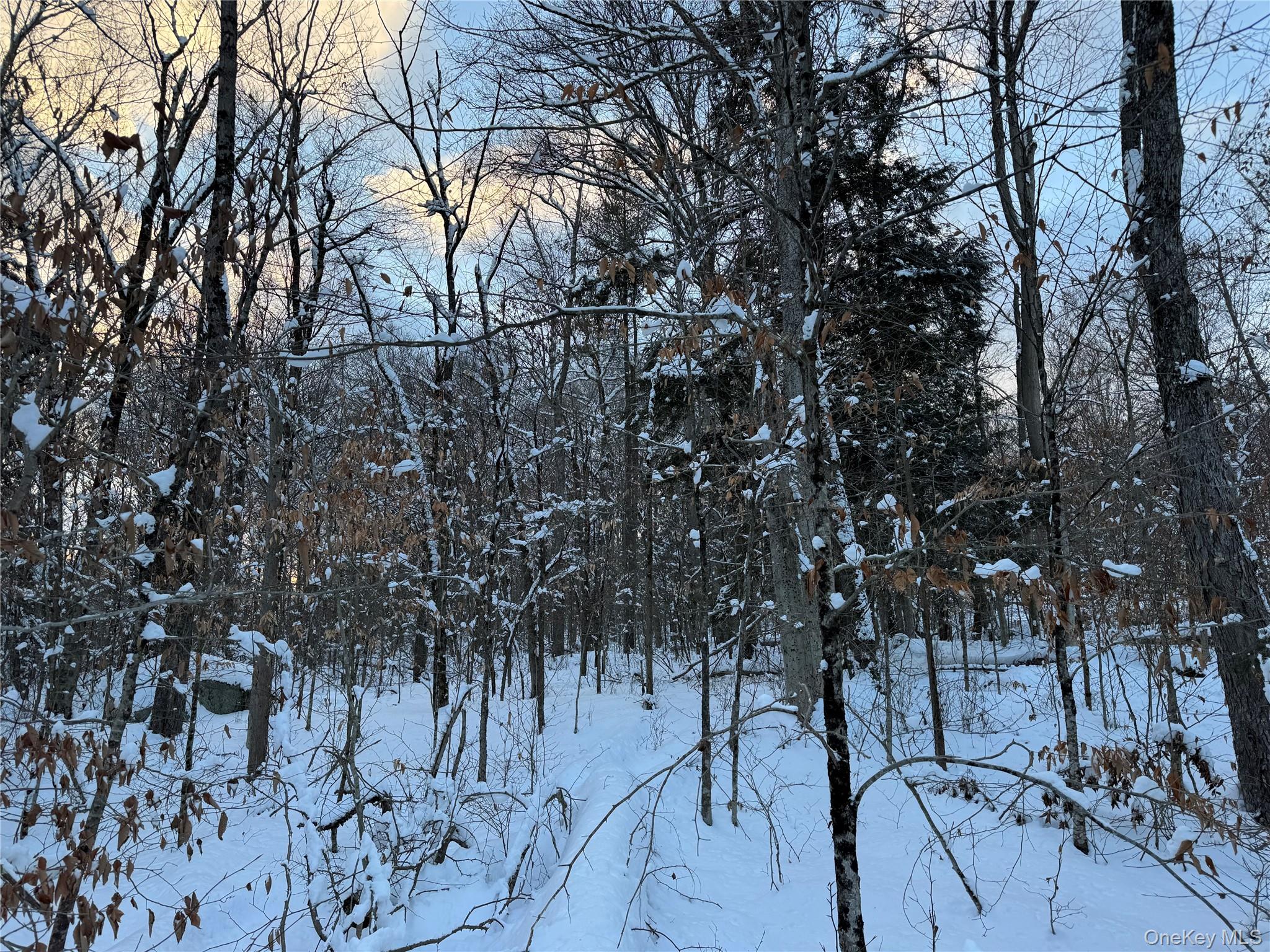 00 Starlight Road – For Sale photo 22