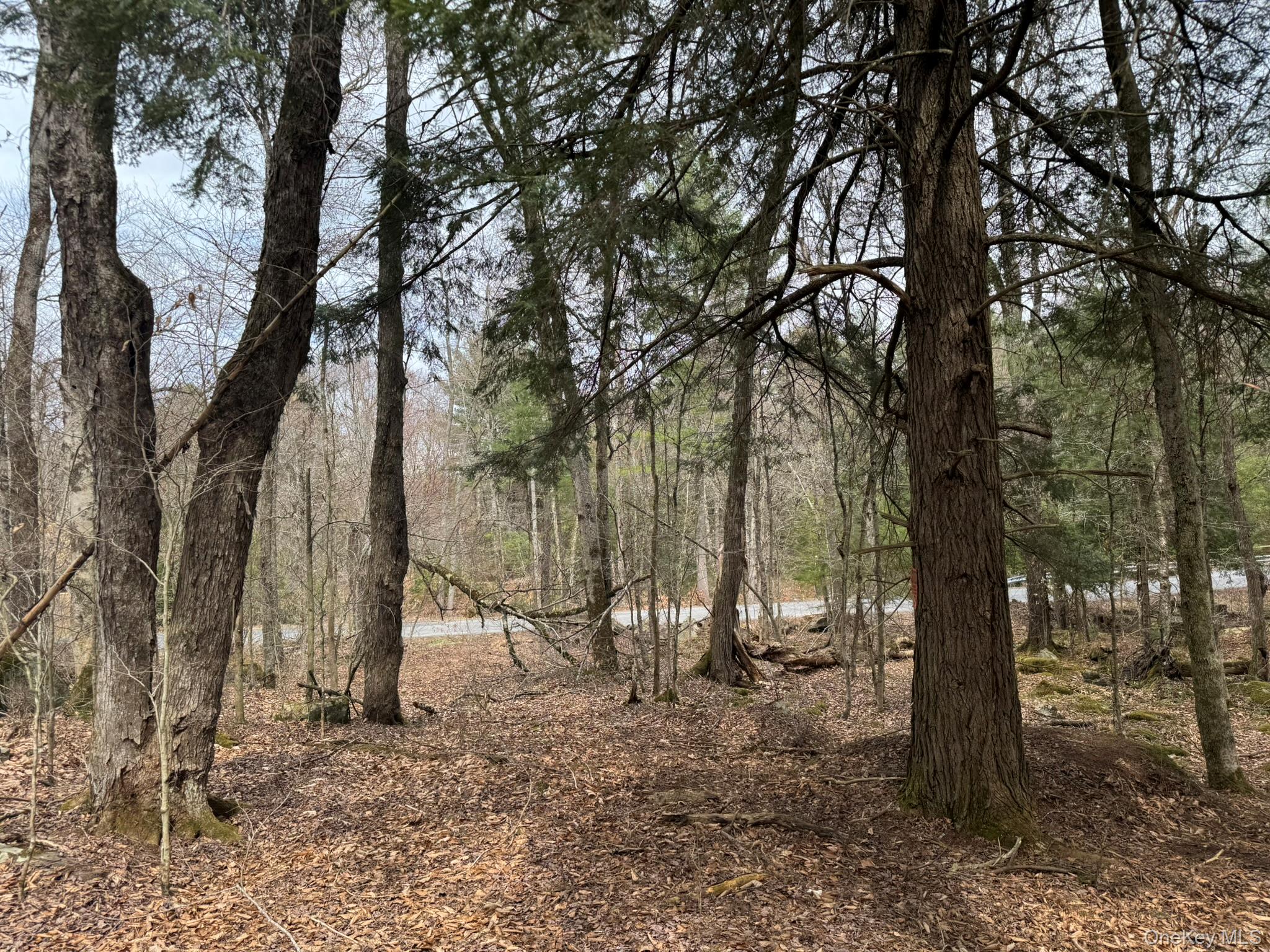 00 Starlight Road – For Sale