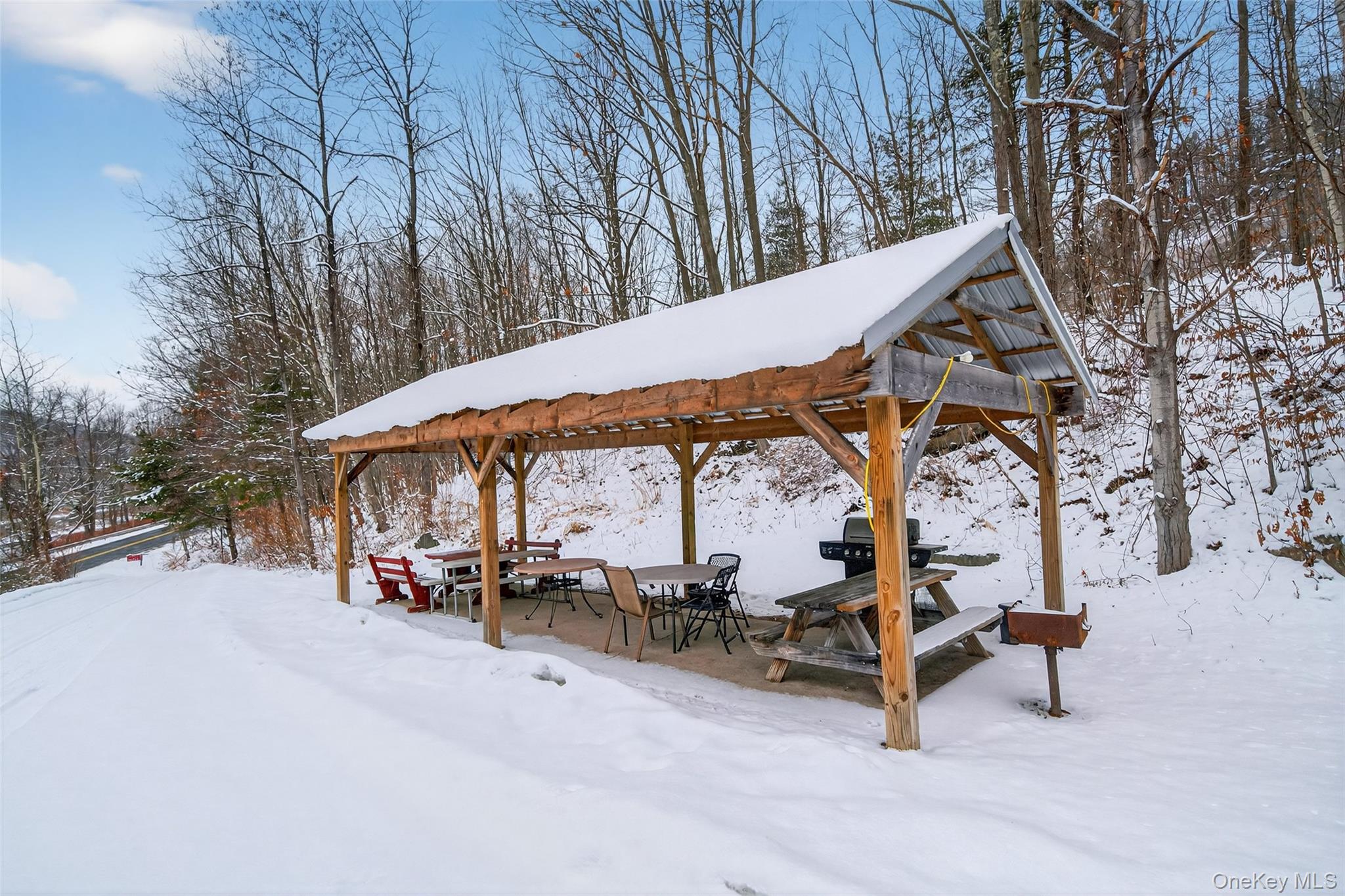 10199 Old Route 17 – For Sale photo 25