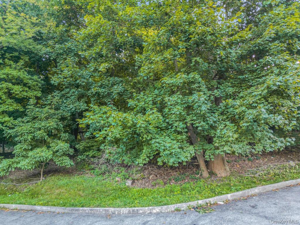 10-13-75 Dickinson Avenue – For Sale photo 23