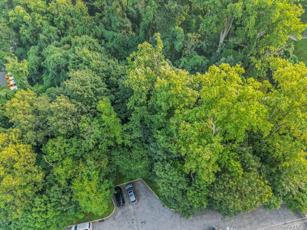 10-13-75 Dickinson Avenue – For Sale photo 22