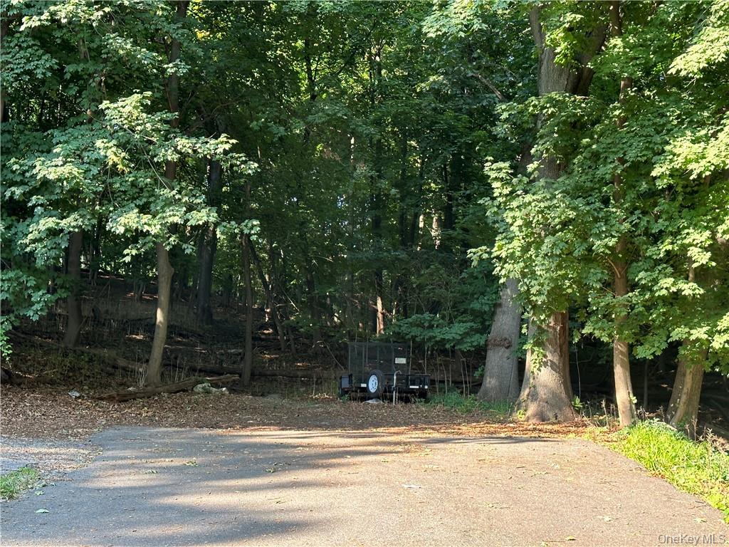10-13-75 Dickinson Avenue – For Sale photo 3