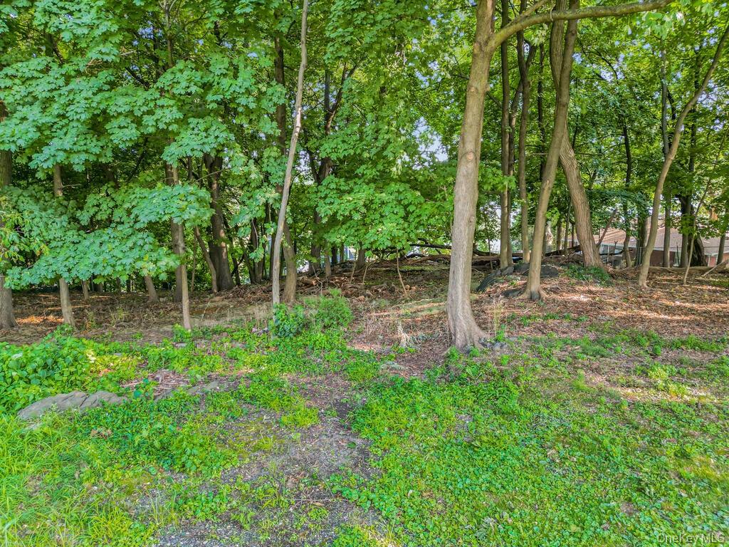 10-13-75 Dickinson Avenue – For Sale photo 17