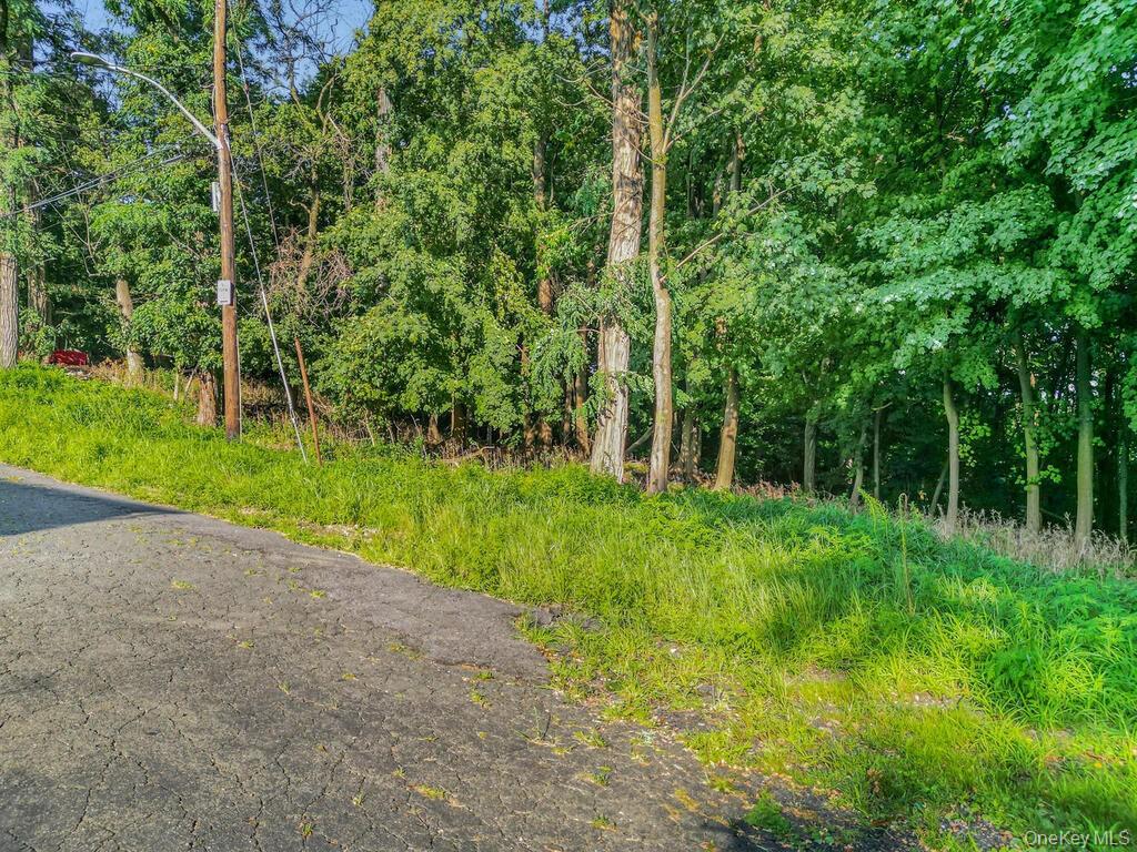 10-13-75 Dickinson Avenue – For Sale photo 18