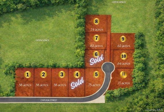 Lots 1-11 Cayuga Street – For Sale photo 5