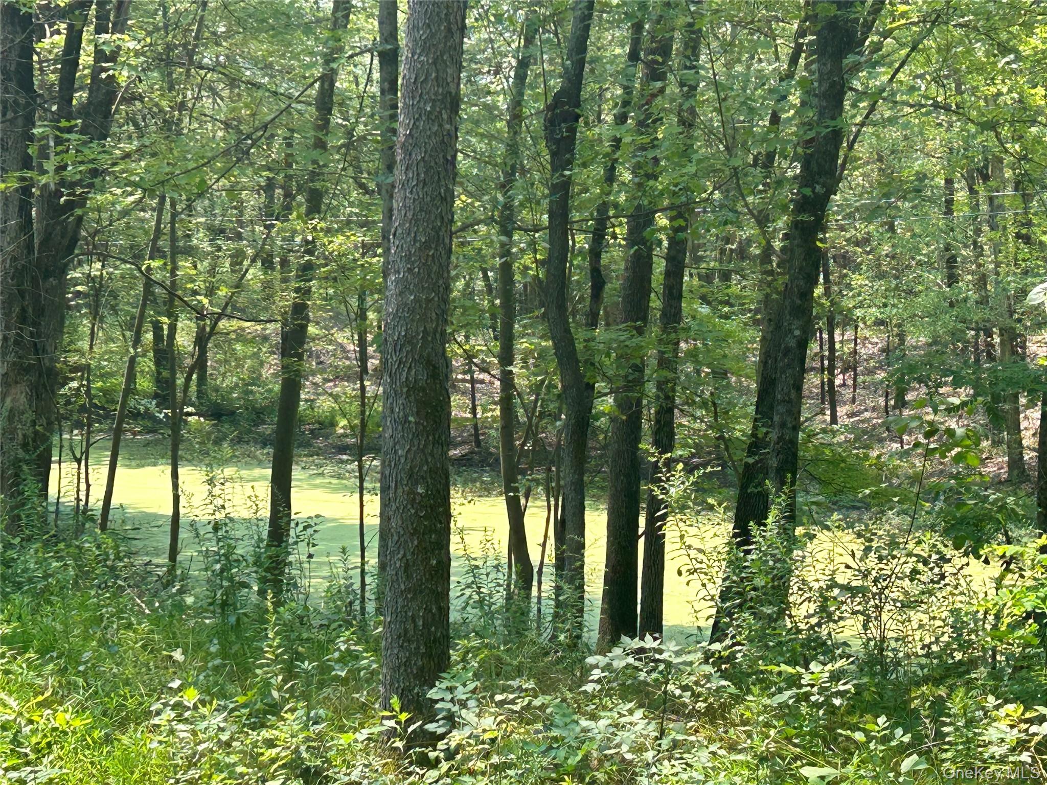 White Schoolhouse Road – For Sale photo 9