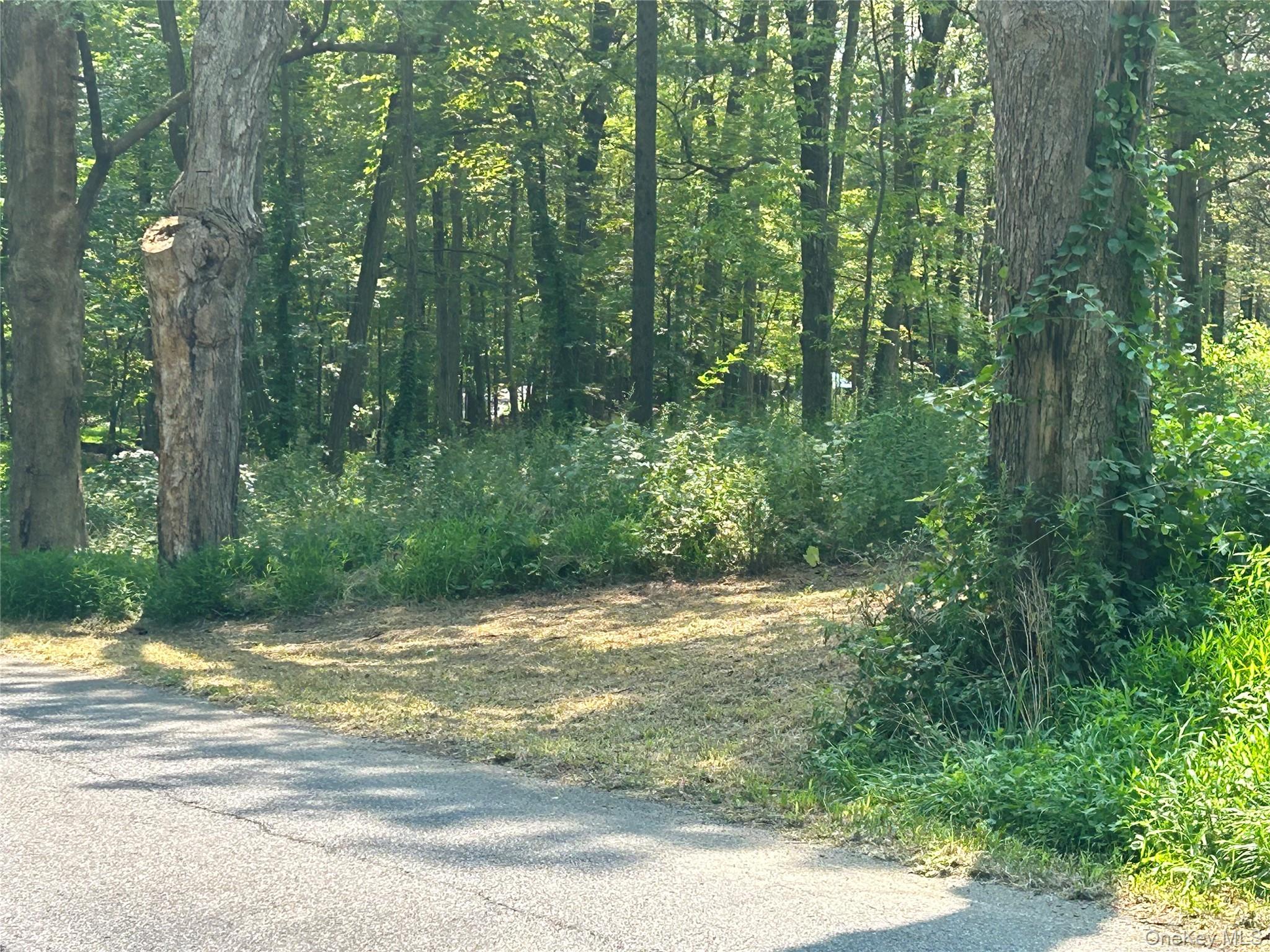 White Schoolhouse Road – For Sale photo 5