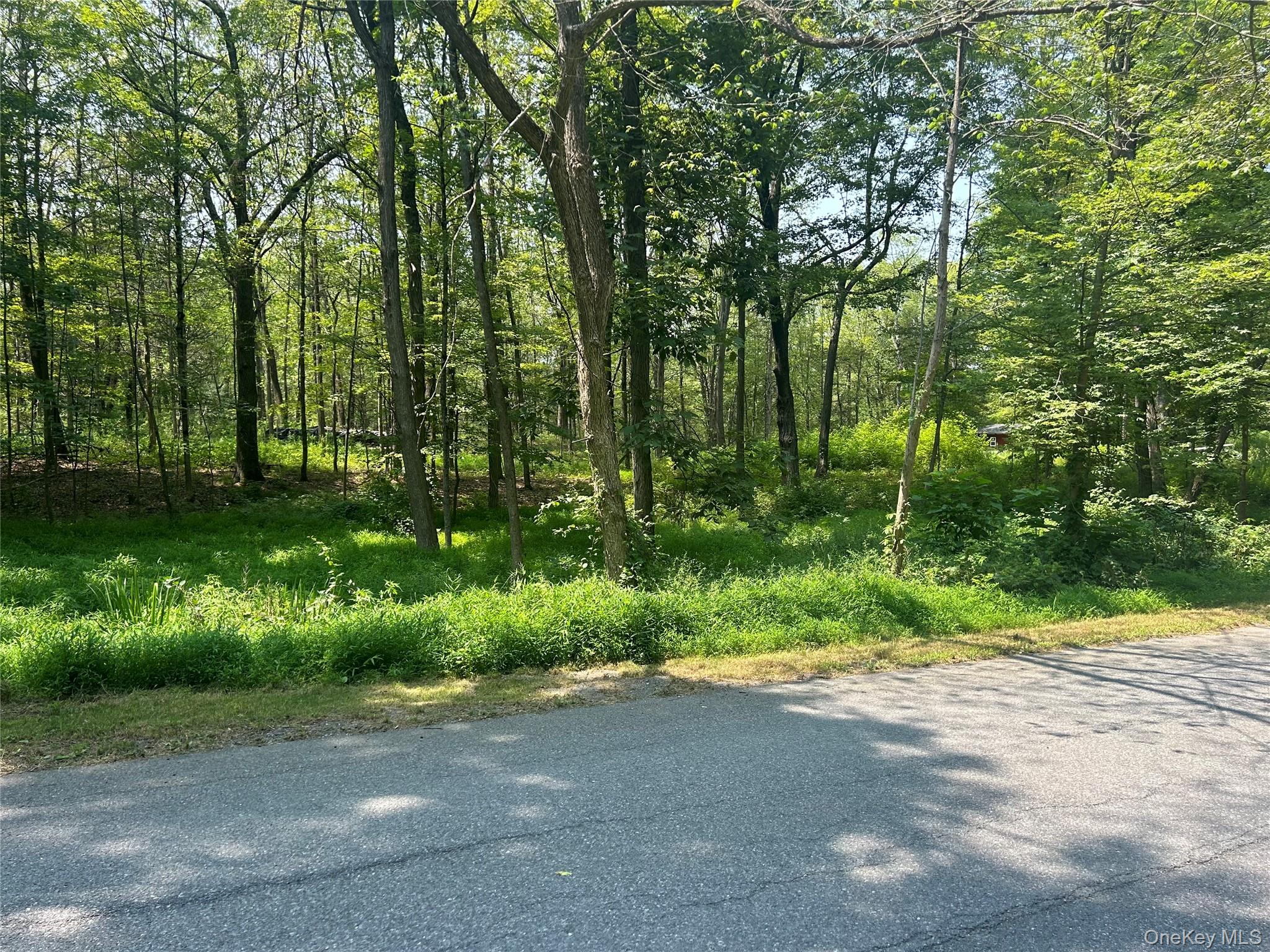 White Schoolhouse Road – For Sale