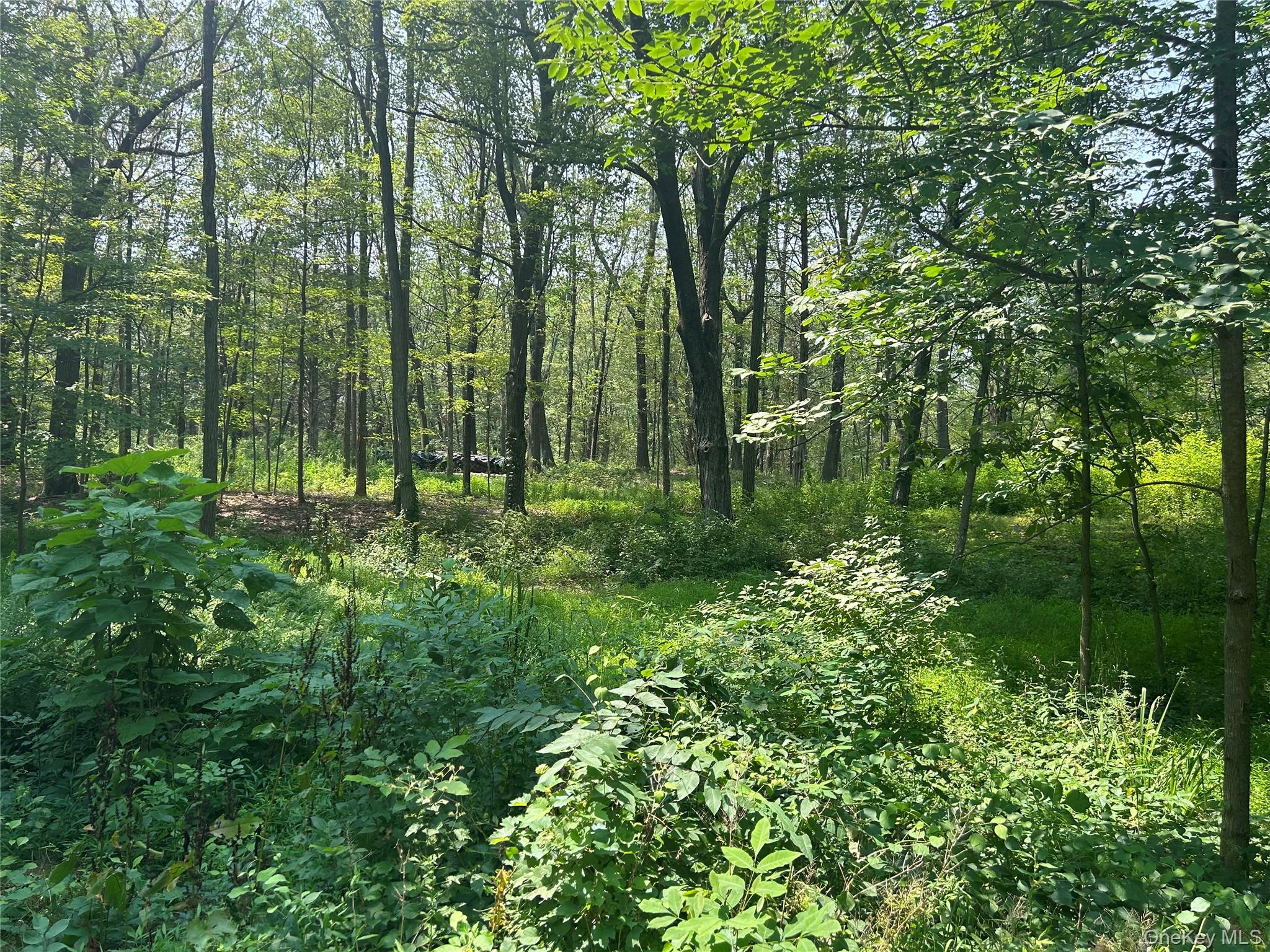 White Schoolhouse Road – For Sale photo 2