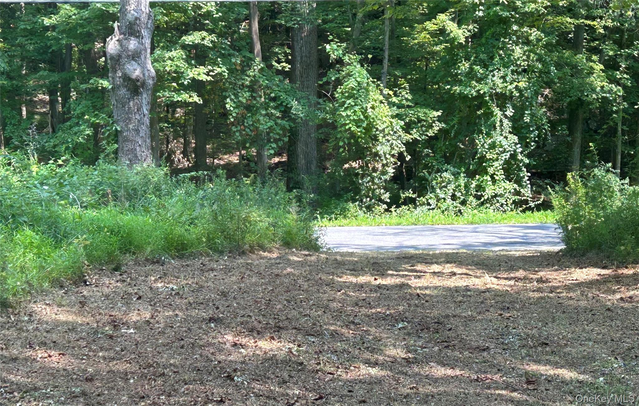 White Schoolhouse Road – For Sale photo 11