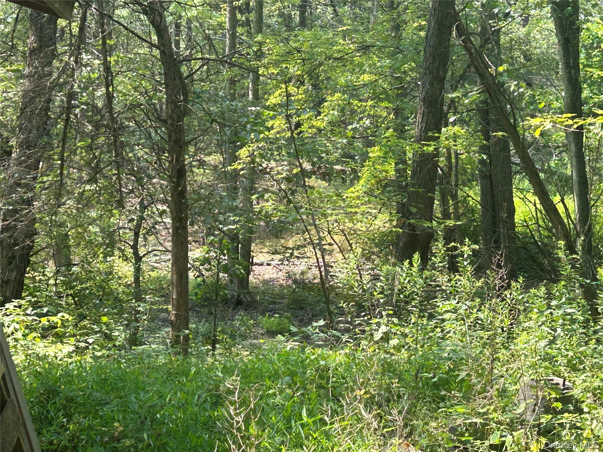 White Schoolhouse Road – For Sale photo 10