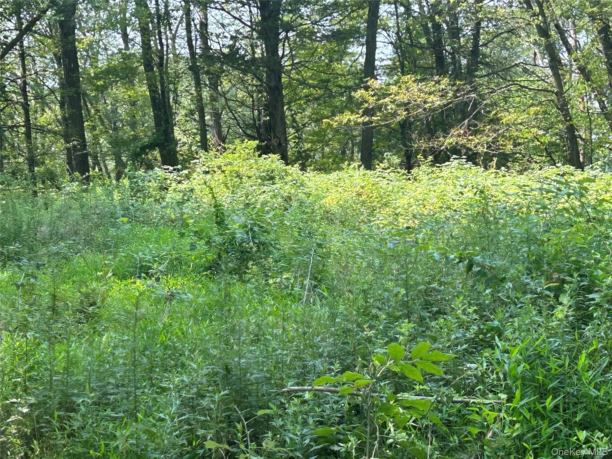 White Schoolhouse Road – For Sale photo 13