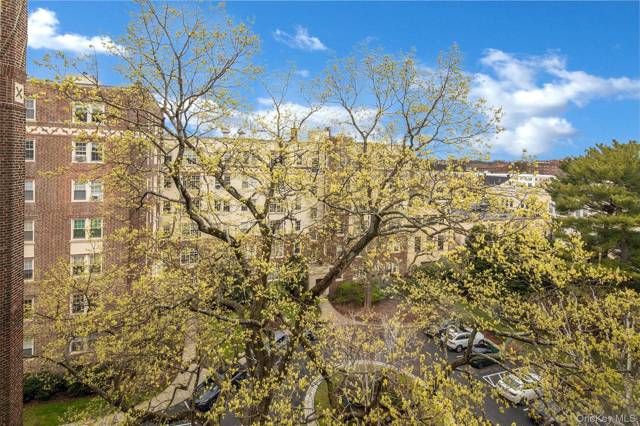 3 Tanglewylde Avenue, Unit 5C photo 26