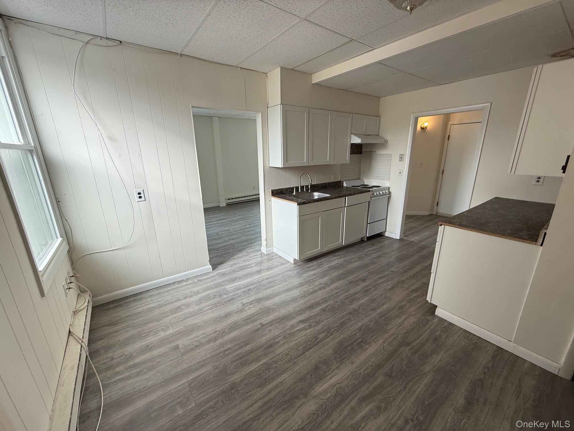 247 Hudson Street, Unit 3 photo 5