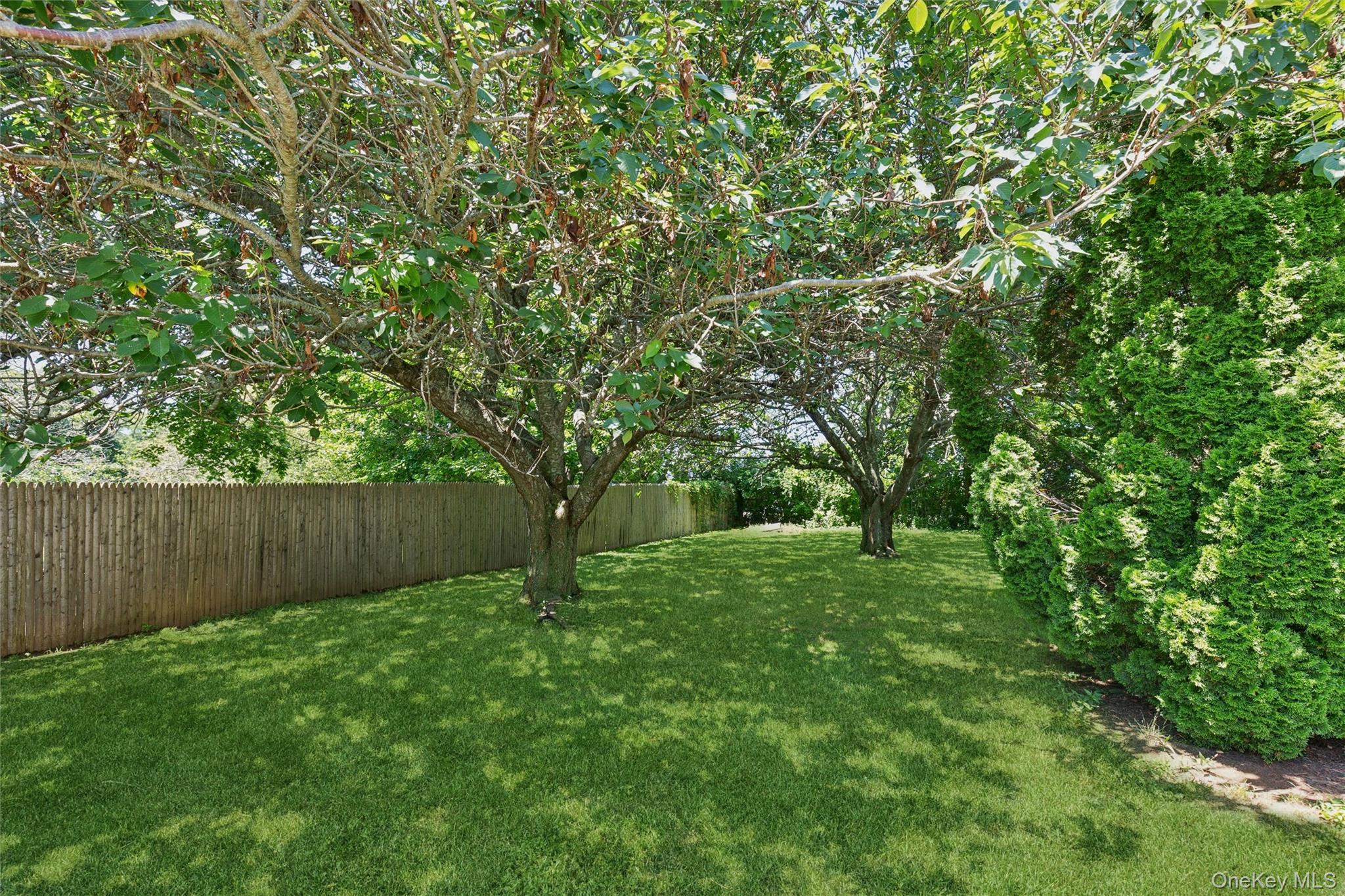 6205 Alvahs Lane – For Sale photo 19