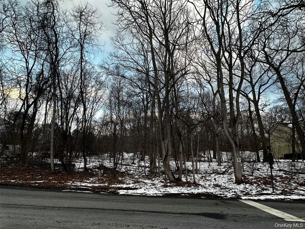 W Bartlett Road – For Sale