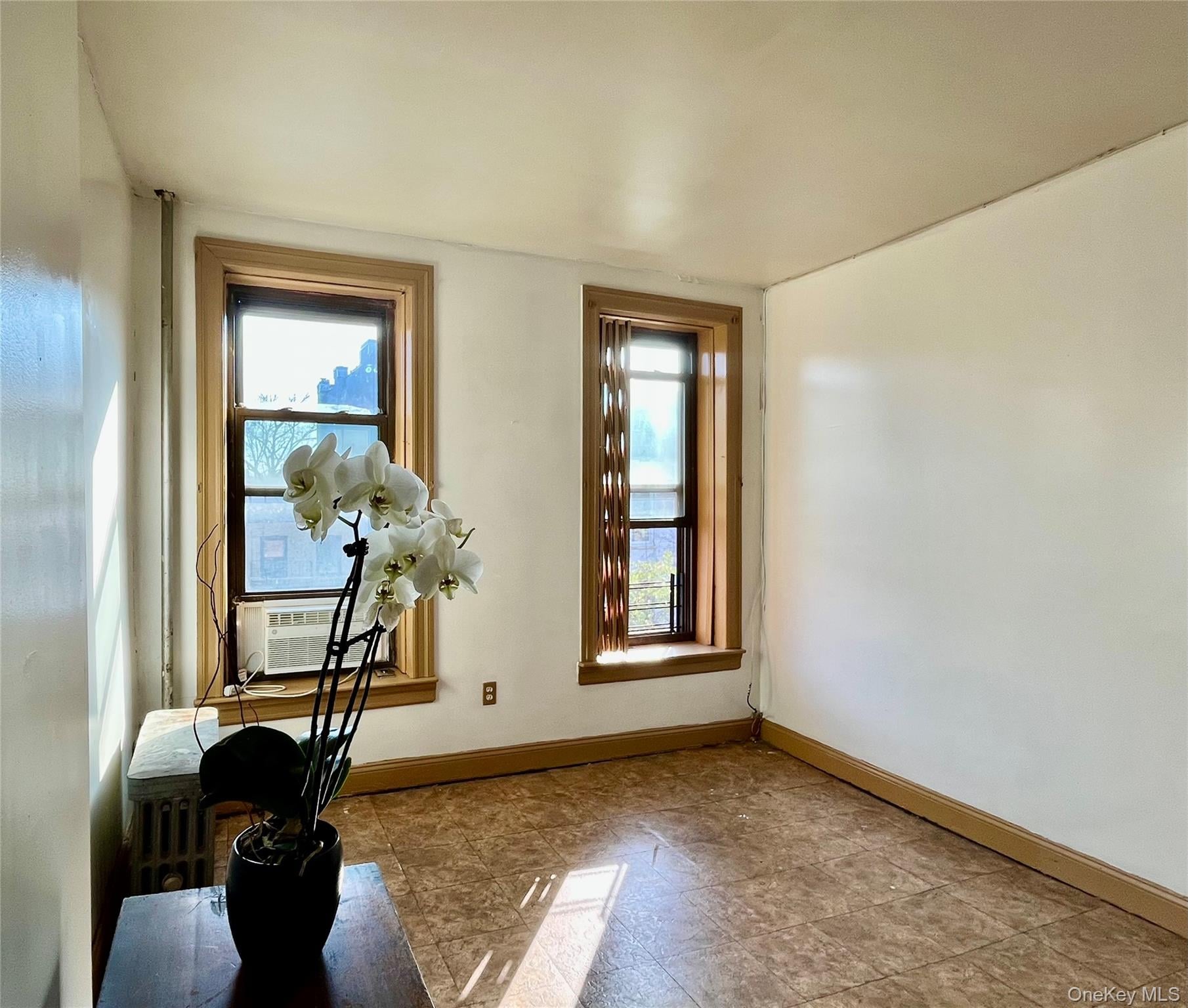 120 Bergen Street N, Unit 5 photo 11