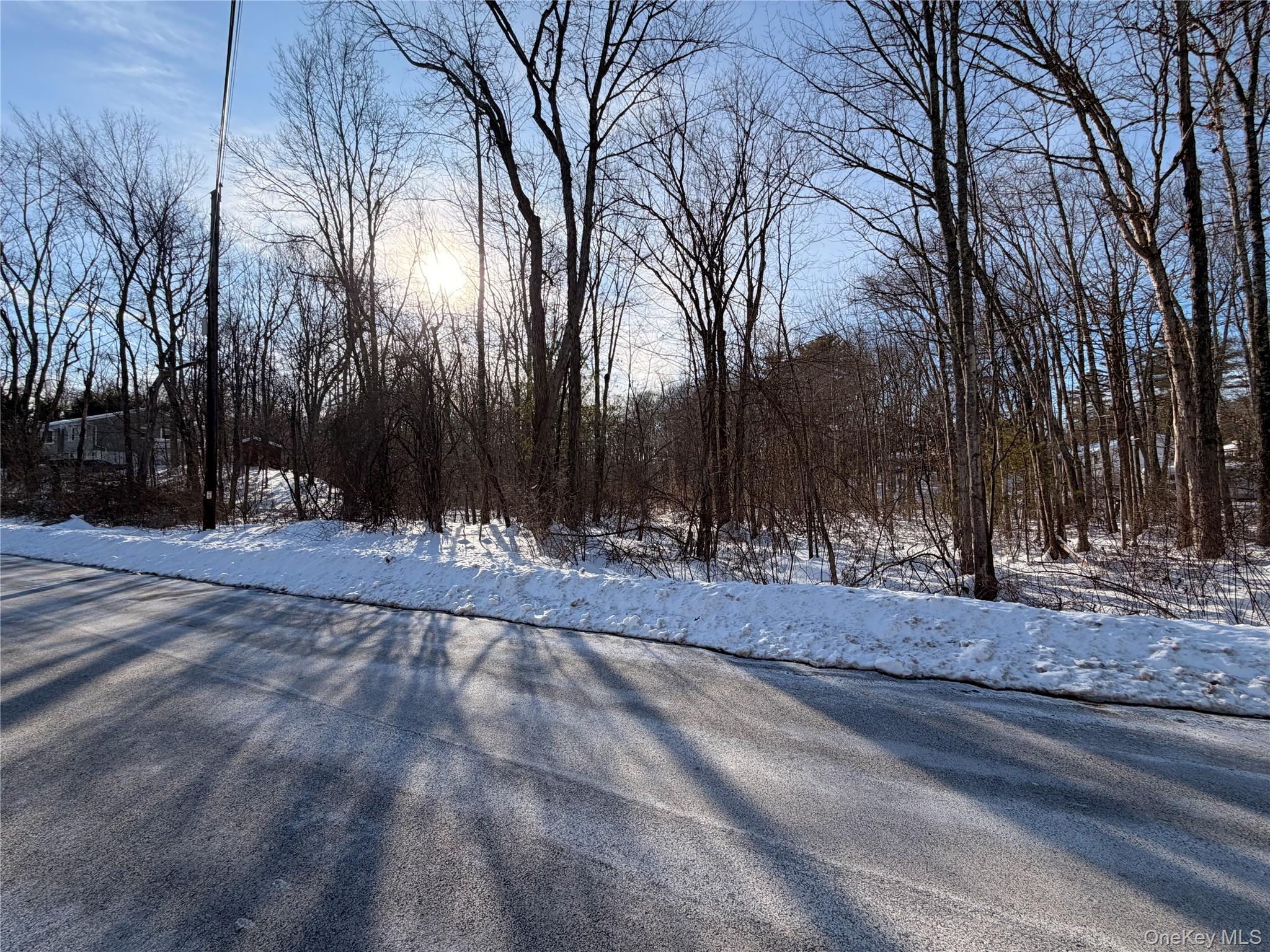 11 White Birch Road – For Sale photo 3