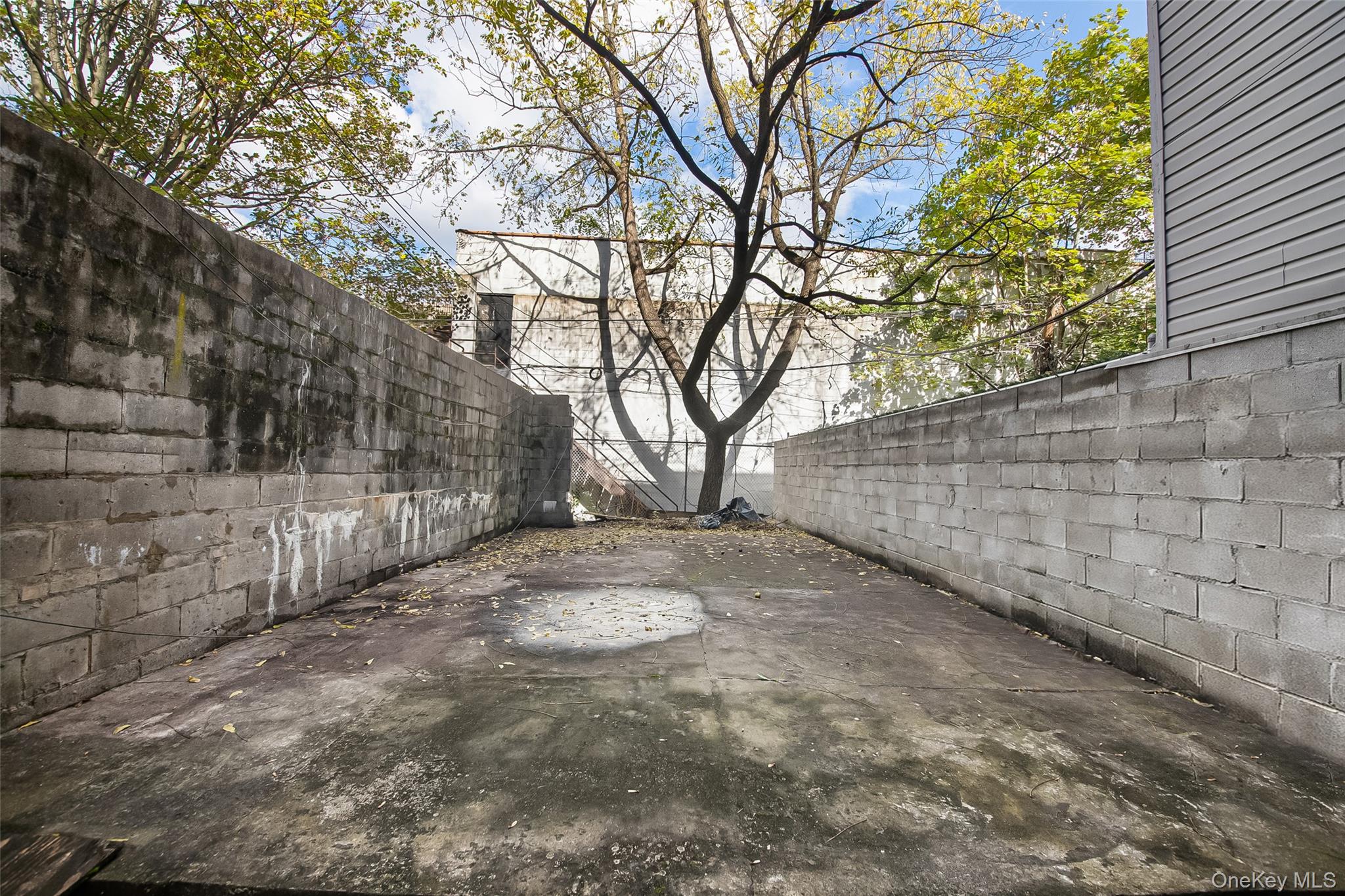 35 Herkimer Street – For Sale photo 11