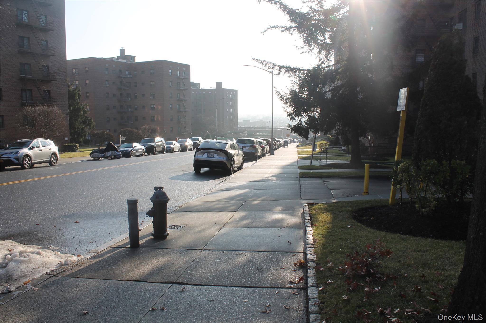 87-30 204th Street, Unit B-56 photo 4