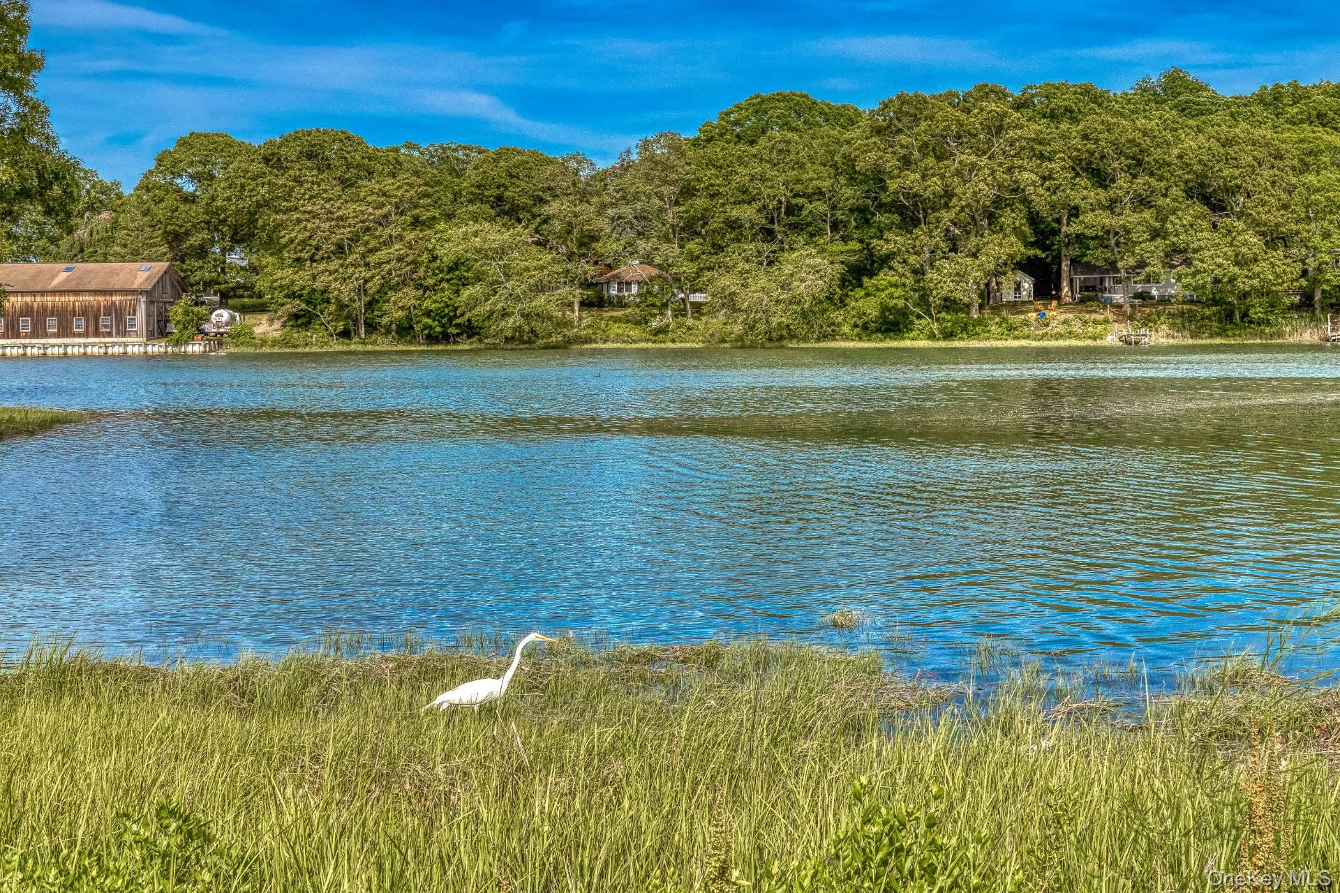7 Locust Avenue – For Sale photo 9