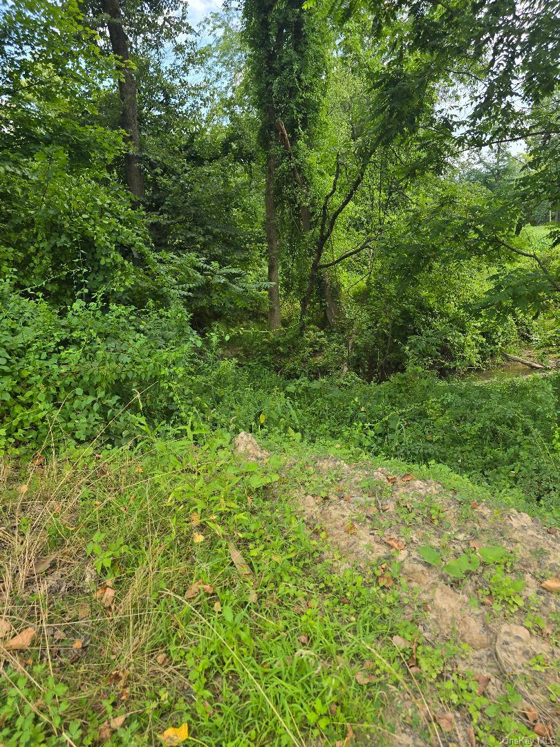 6437 Route 209 – For Sale photo 28