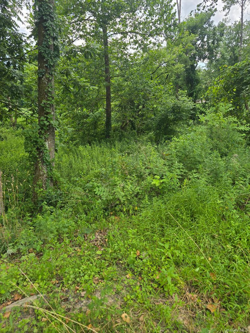 6437 Route 209 – For Sale photo 29