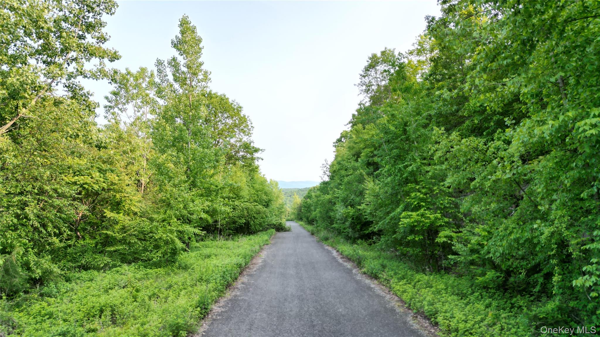 9 Truncali Drive – For Sale photo 23