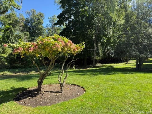 5 Shore Drive – For Sale photo 21