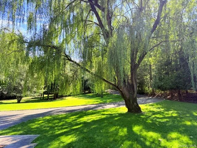 5 Shore Drive – For Sale photo 16