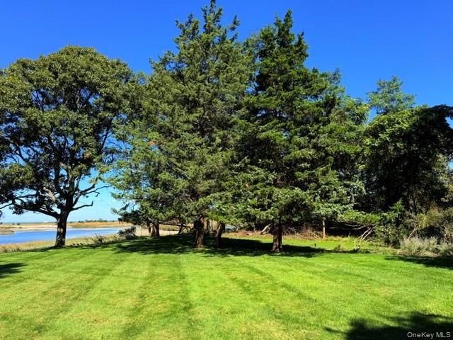 5 Shore Drive – For Sale photo 7