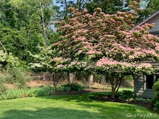 5 Shore Drive – For Sale photo 10