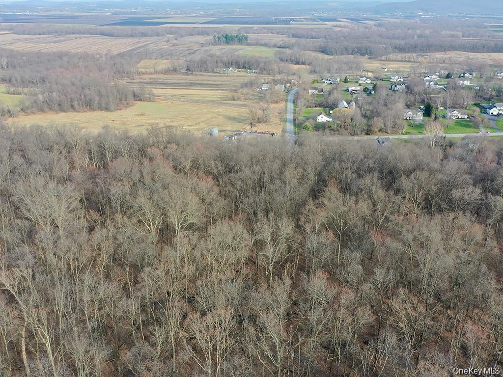 TBD County Route 12 – For Sale photo 2